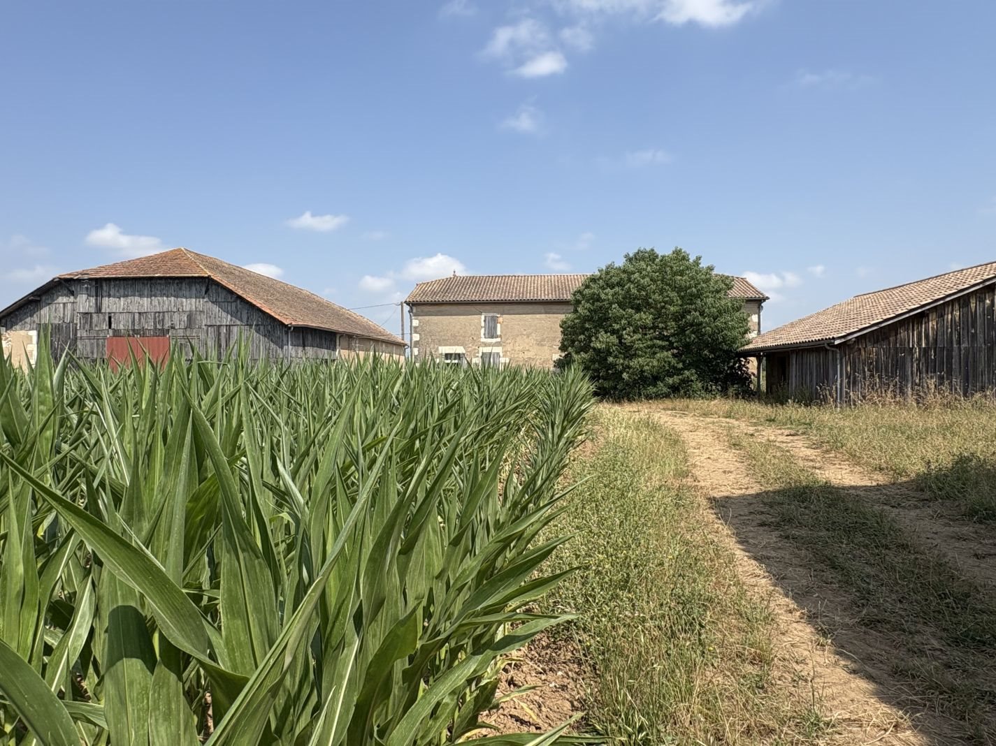 Maison à vendre, 105m², Lafitte-sur-Lot