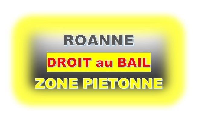 Maison à vendre, 55m², Roanne