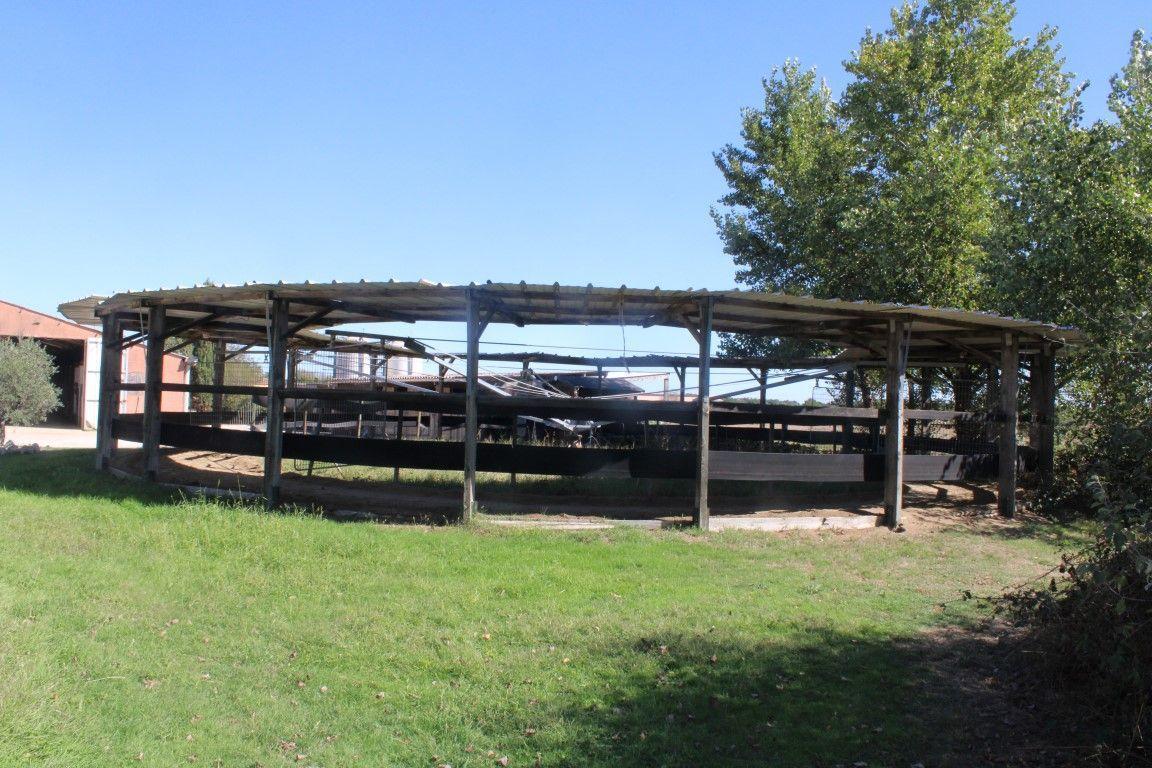 Maison à vendre, 60m², Blagnac