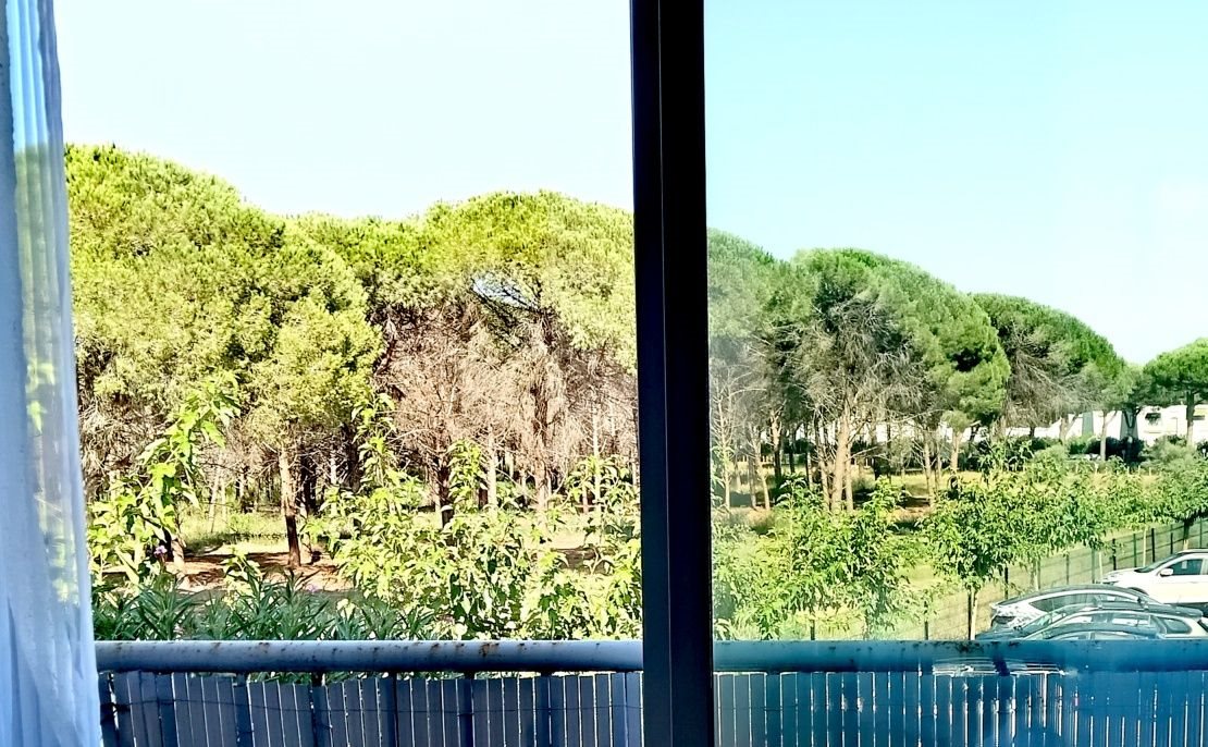 Appartement à vendre, 21m², La Grande-Motte