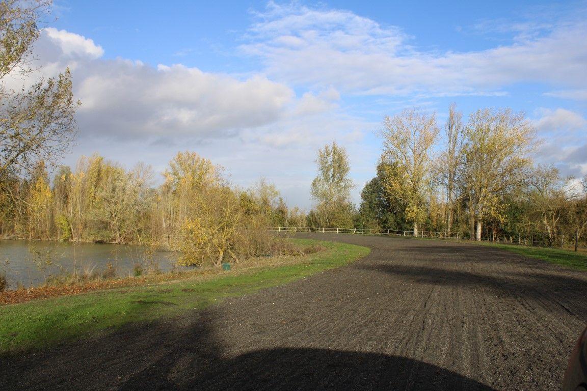 Maison à vendre, 490m², Beaumont-de-Lomagne
