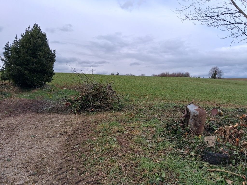 Maison à vendre, 99m², Châteauneuf-la-Forêt