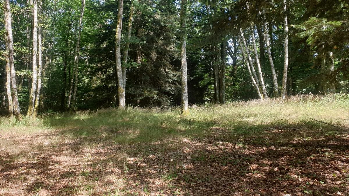 Maison à vendre, 139m², Linards