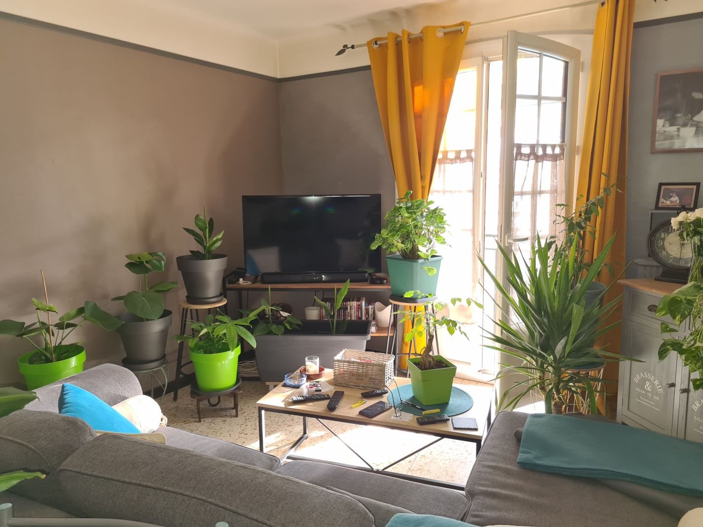 Appartement à vendre, 40m², Céret