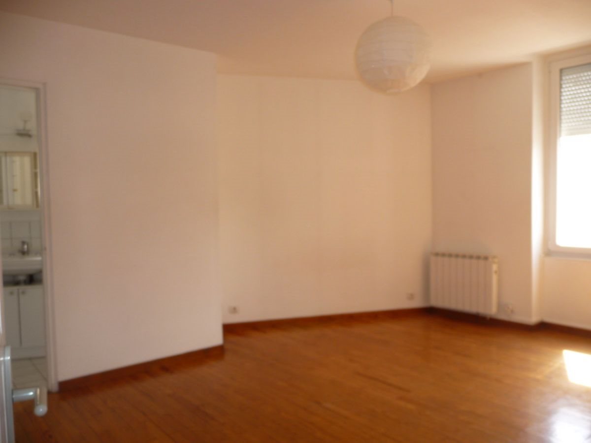 Appartement à louer, 48m², La Tronche