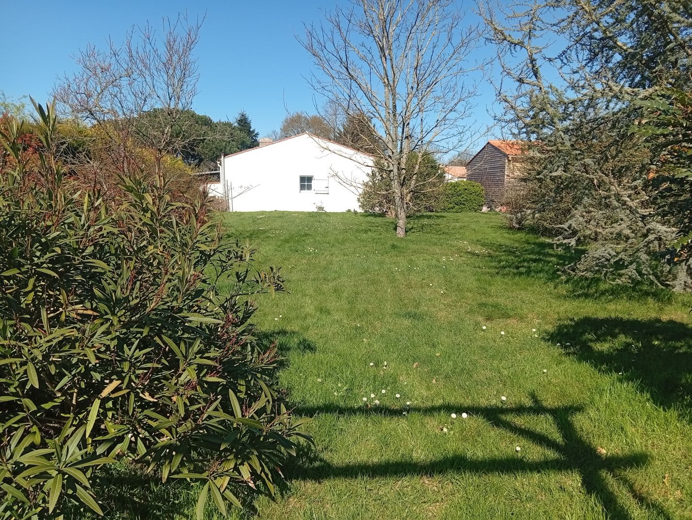 Maison à vendre, 167m², Sainte-Foy