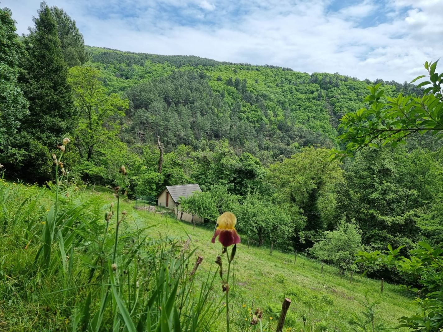 Maison à vendre, 140m², Saint-Etienne-Vallée-Française