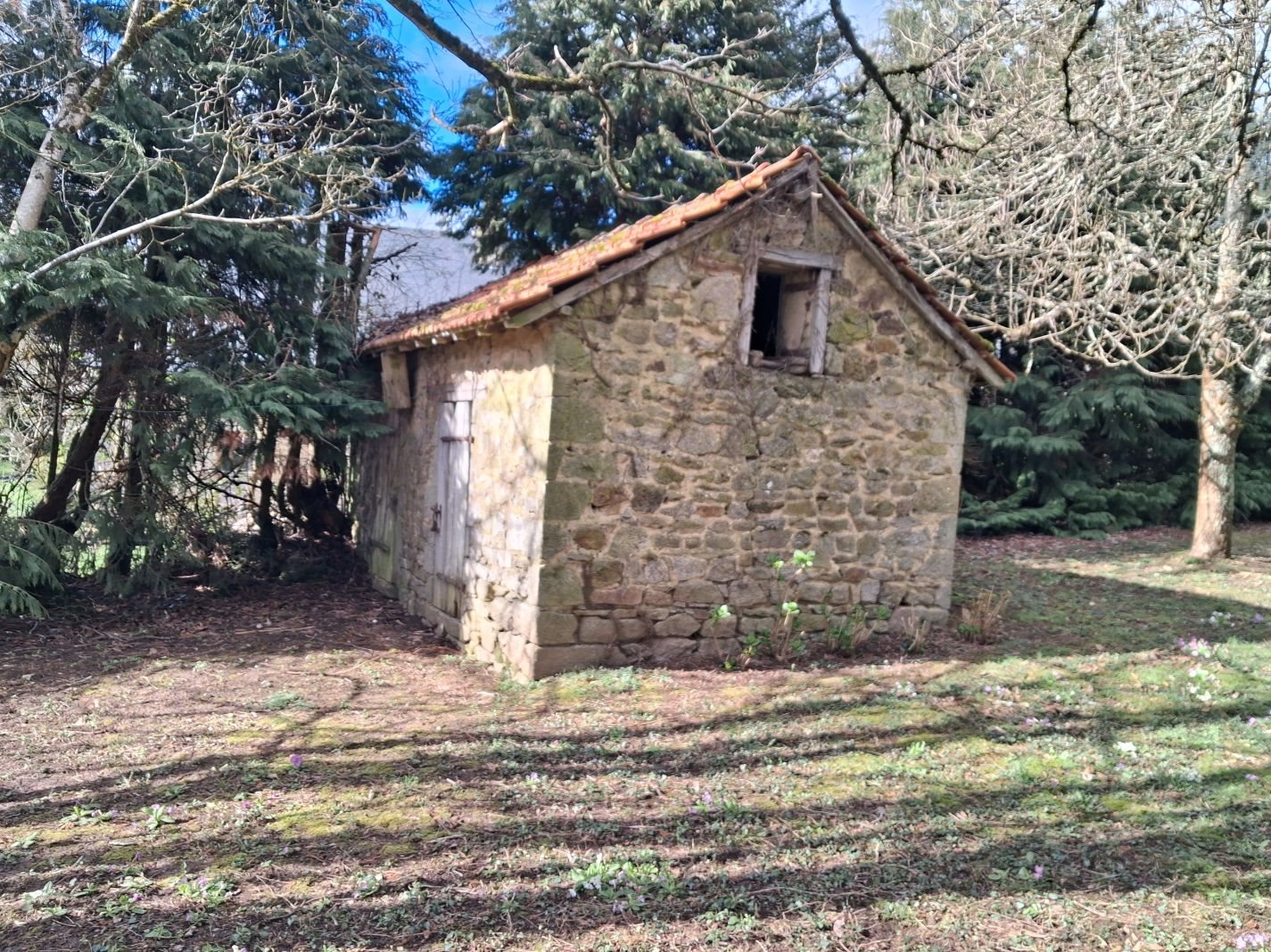 Maison à vendre, 101m², Domps