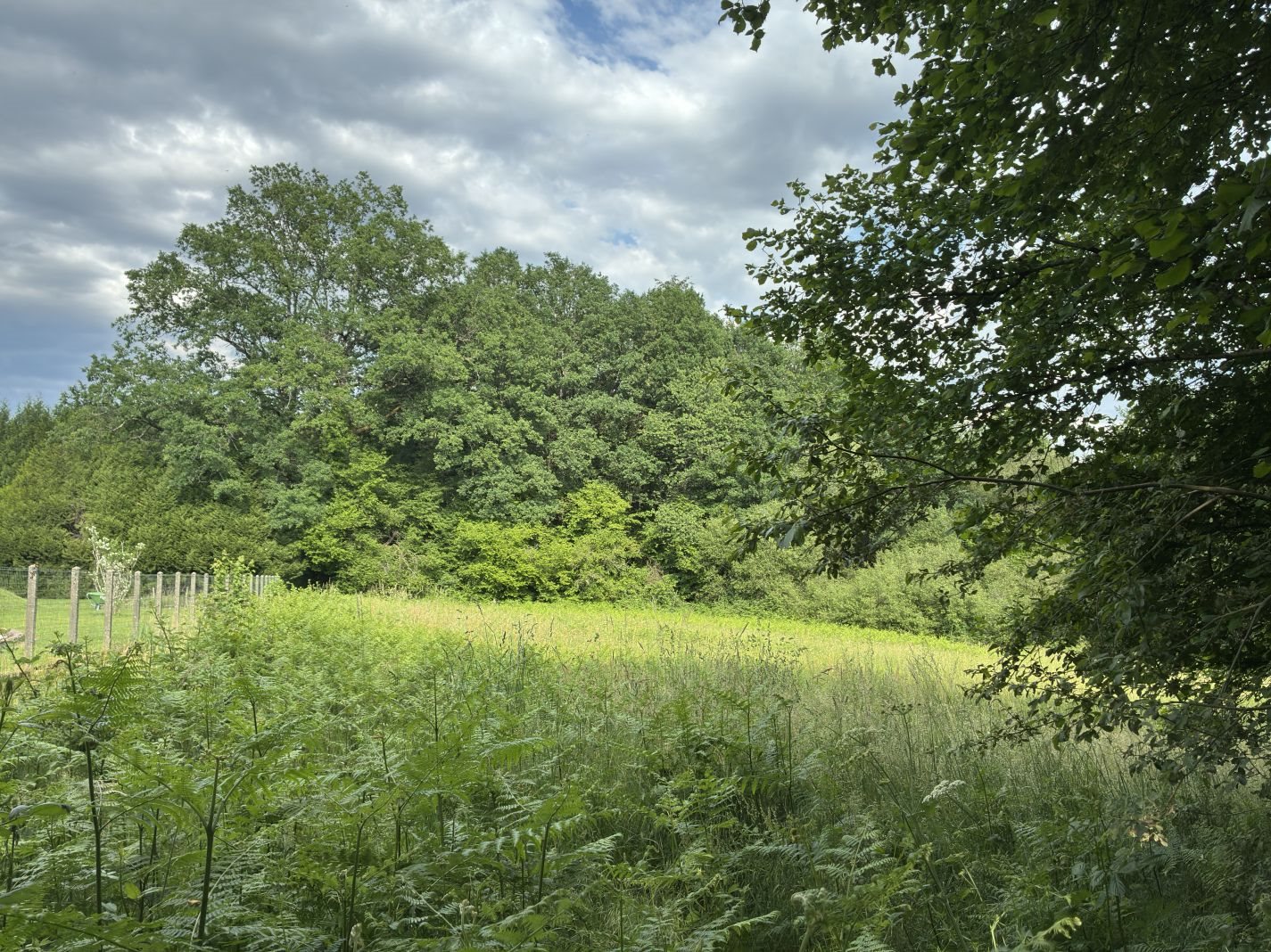 Maison à vendre, 48m², Cheissoux