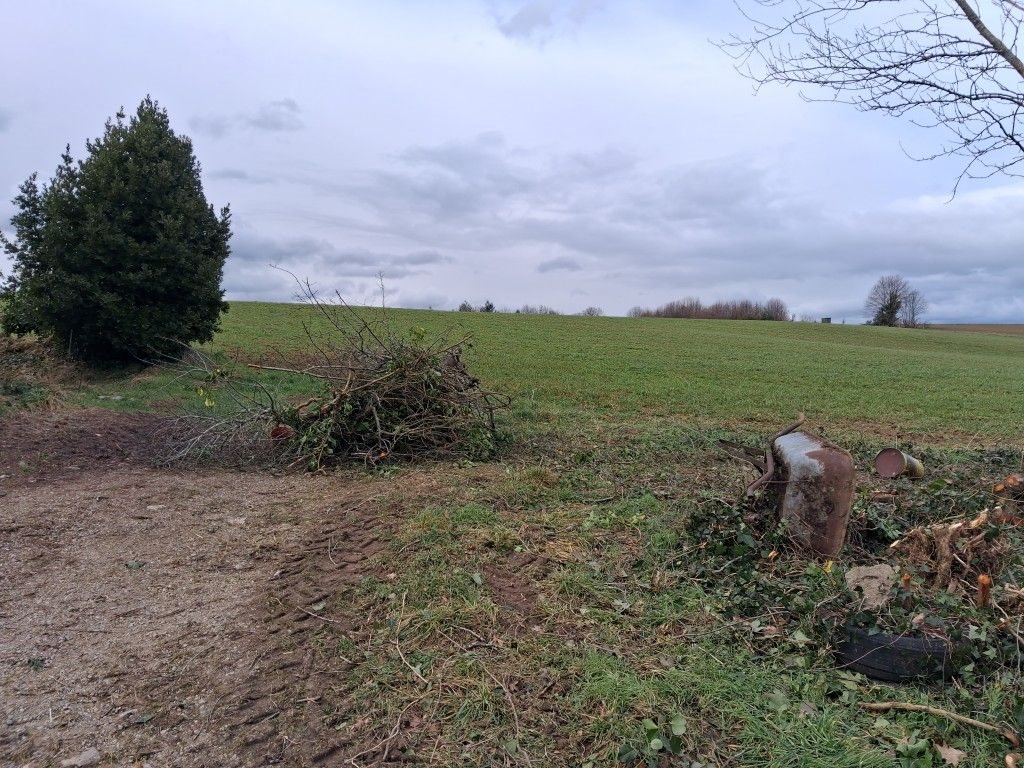 Maison à vendre, 99m², Châteauneuf-la-Forêt
