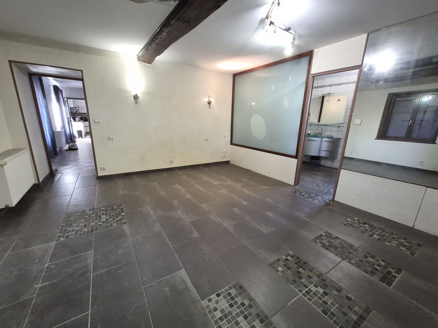 Maison à vendre, 358m², Châtillon-sur-Chalaronne