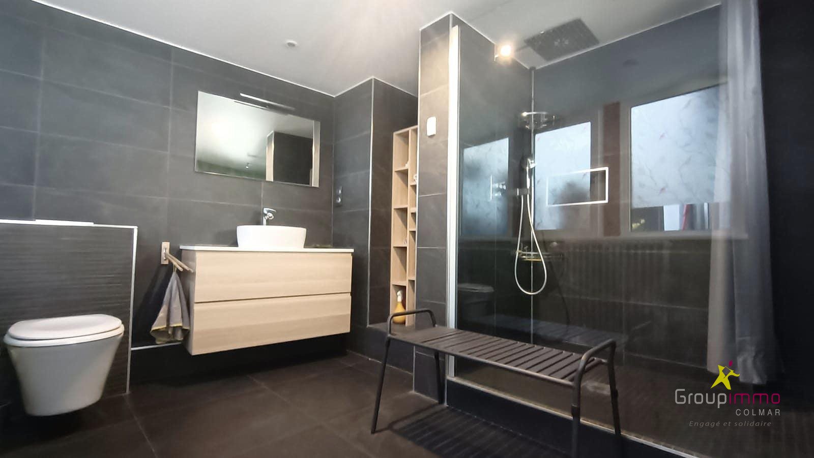 Appartement à louer, 136m², Colmar