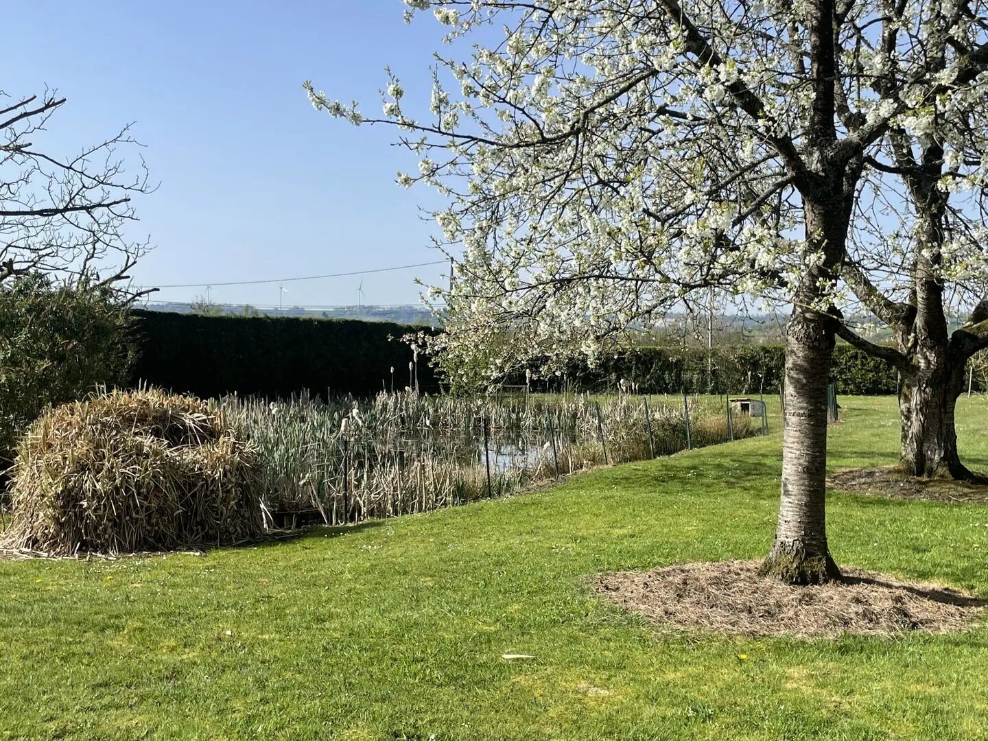 Maison à vendre, 153m², Cuy-Saint-Fiacre