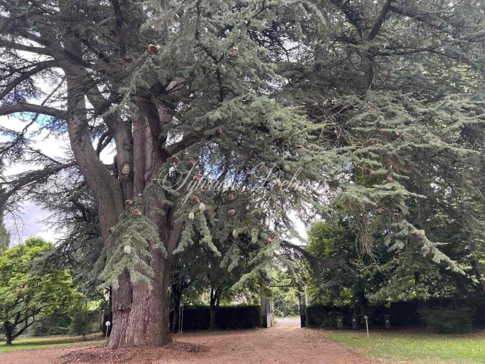 Maison à vendre, 400m², Fondettes