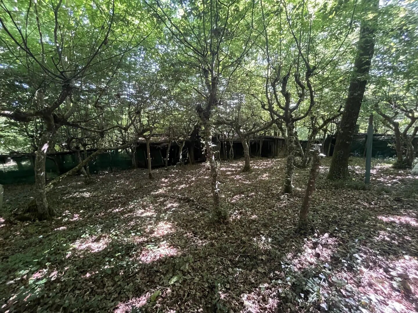 Maison à vendre, 20m², La Réole