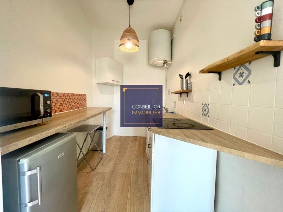 Appartement à louer, 41m², Villeurbanne