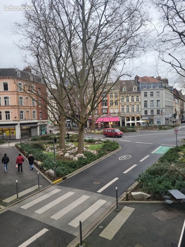 Appartement à louer, 51m², Lille