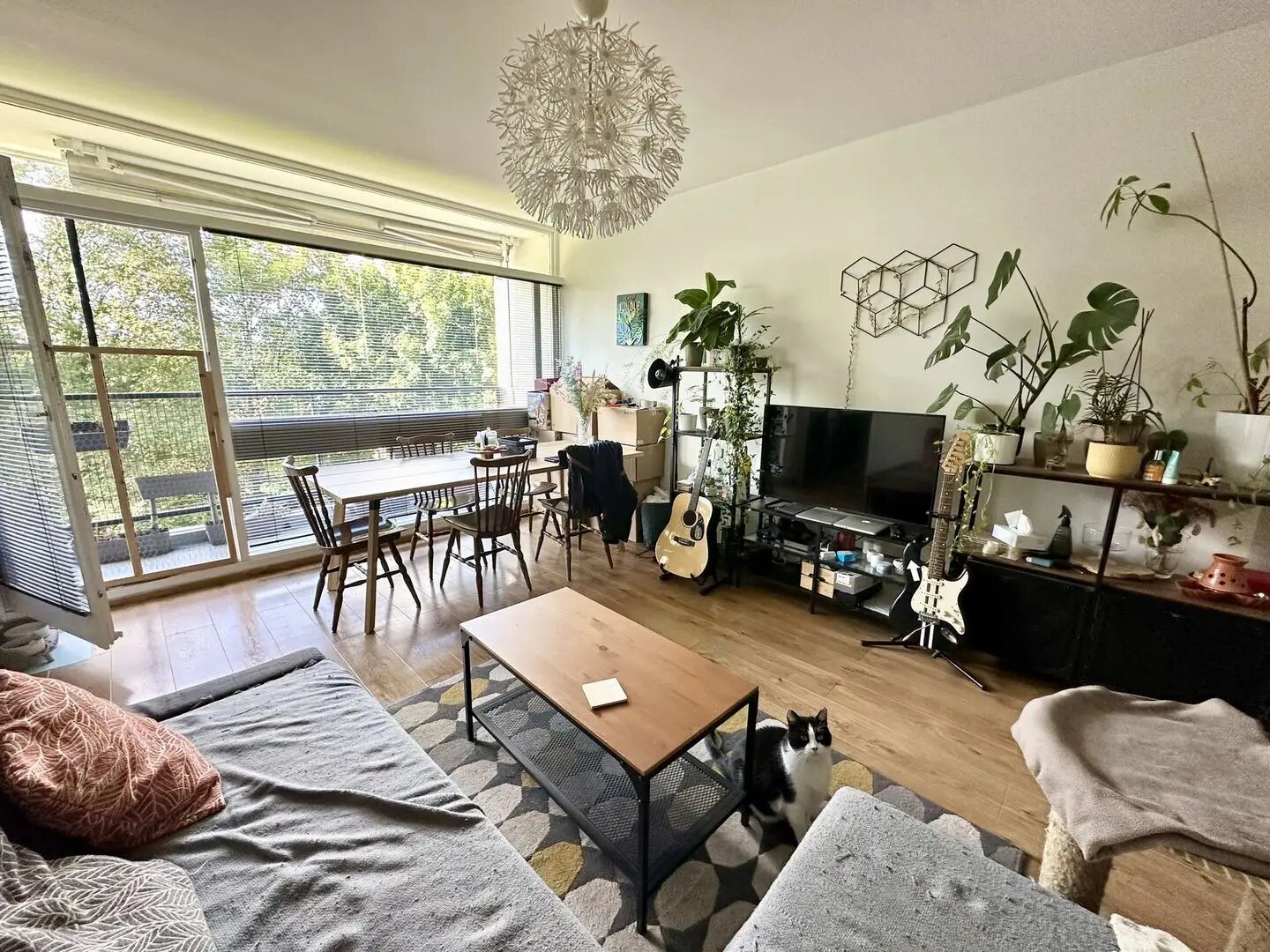 Appartement à louer, 41m², Croix
