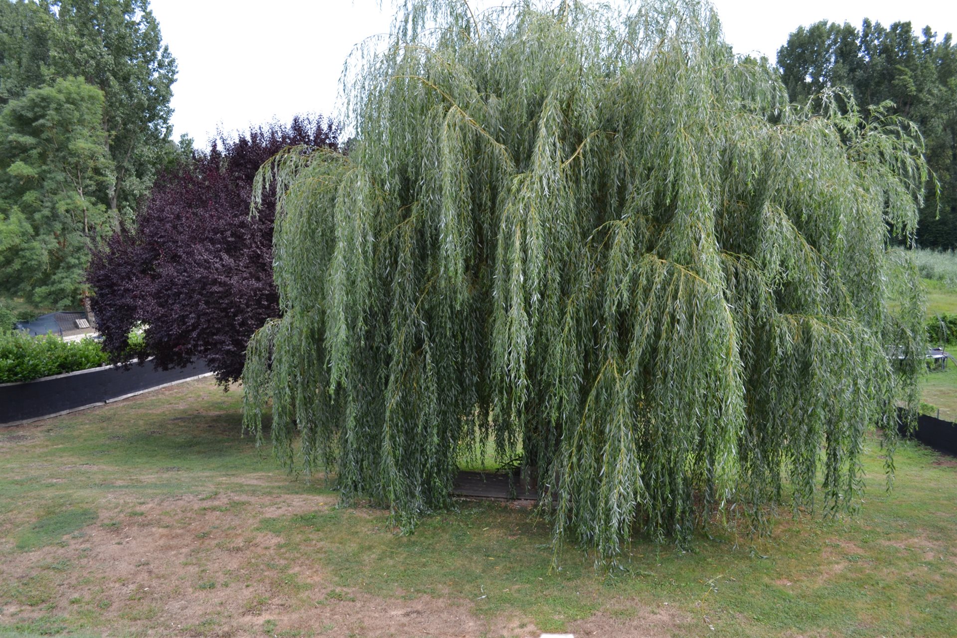Maison à vendre, 150m², Meyrieu-les-Etangs