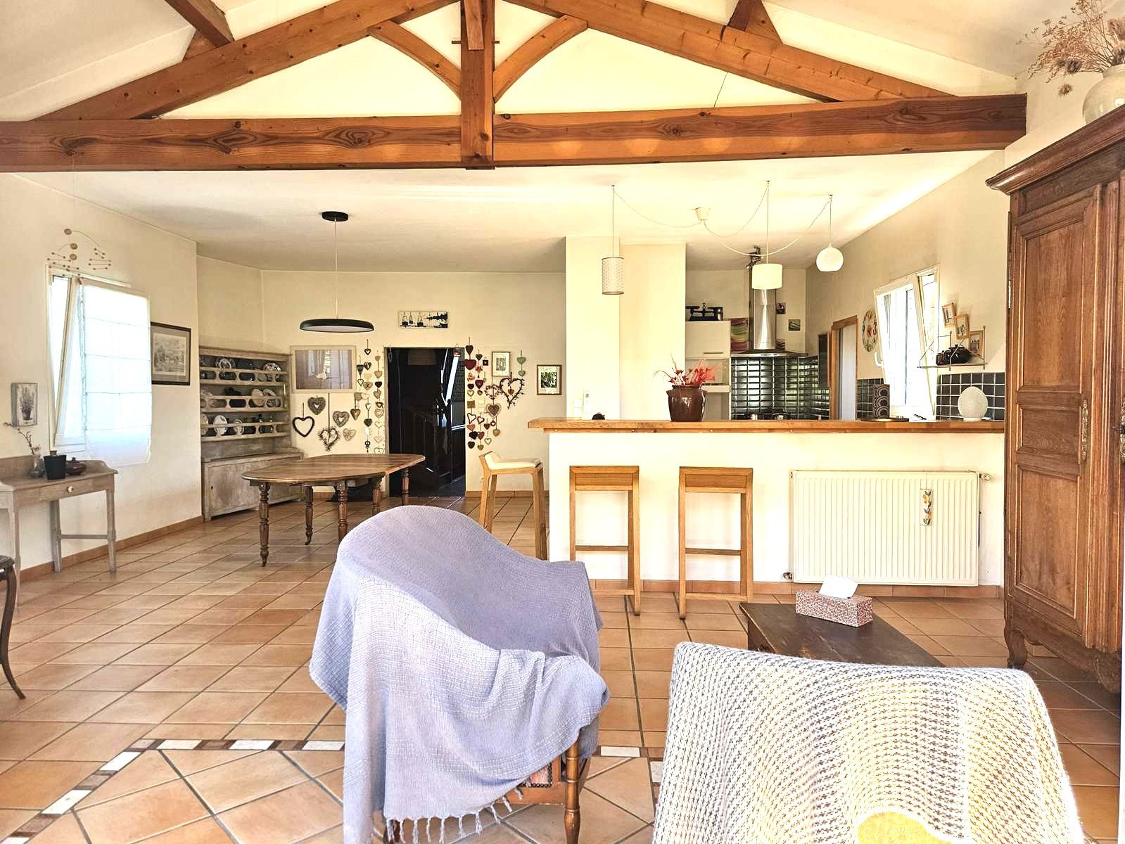 Maison à vendre, 220m², Buzet-sur-Baïse