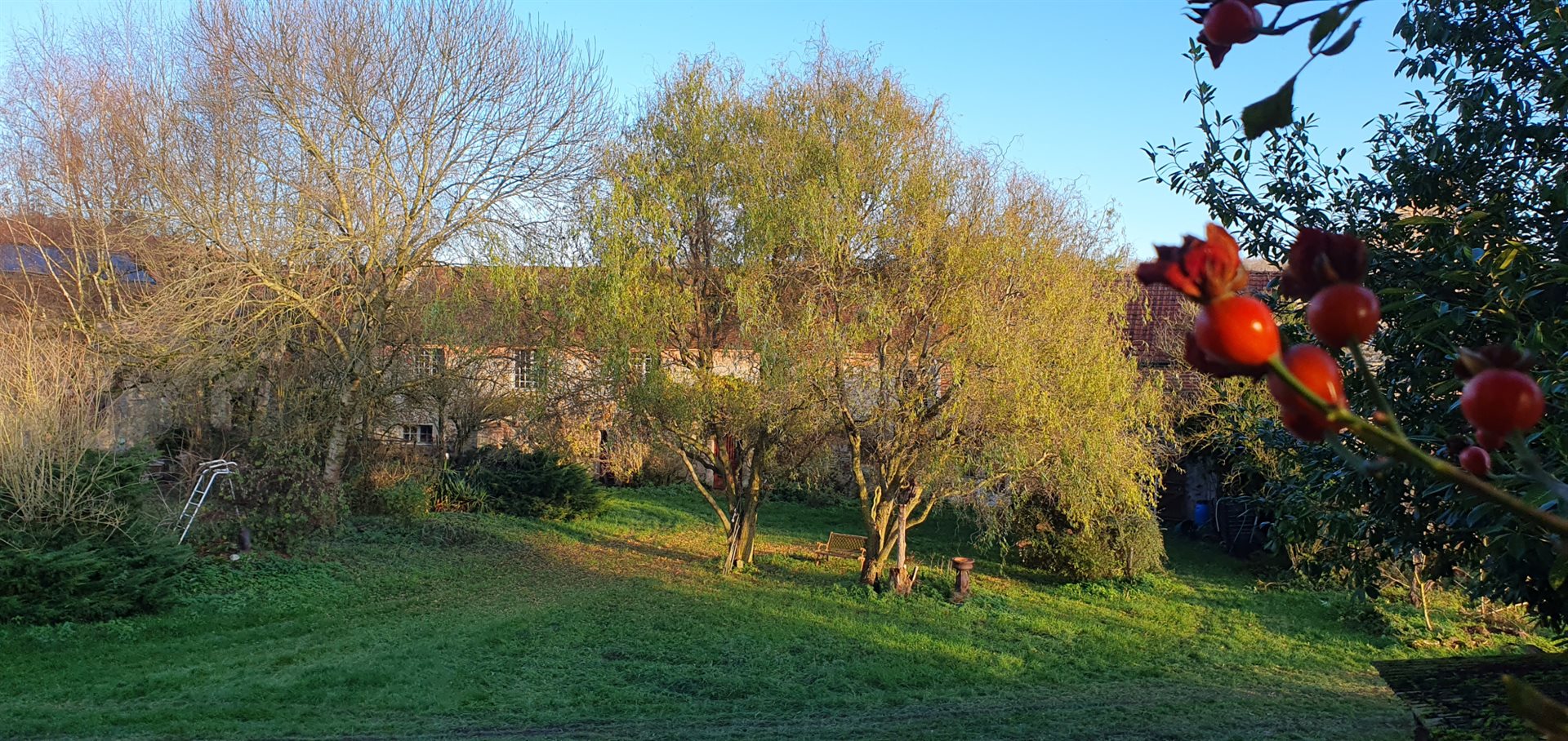 Maison à vendre, 278m², Coulonges-Cohan