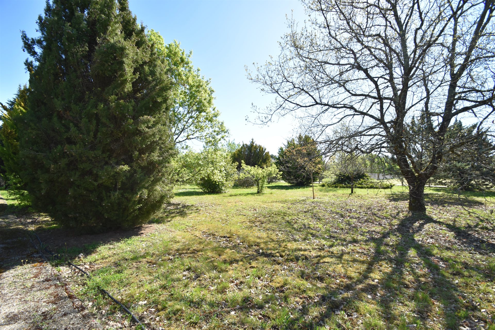 Maison à vendre, 245m², Montauban