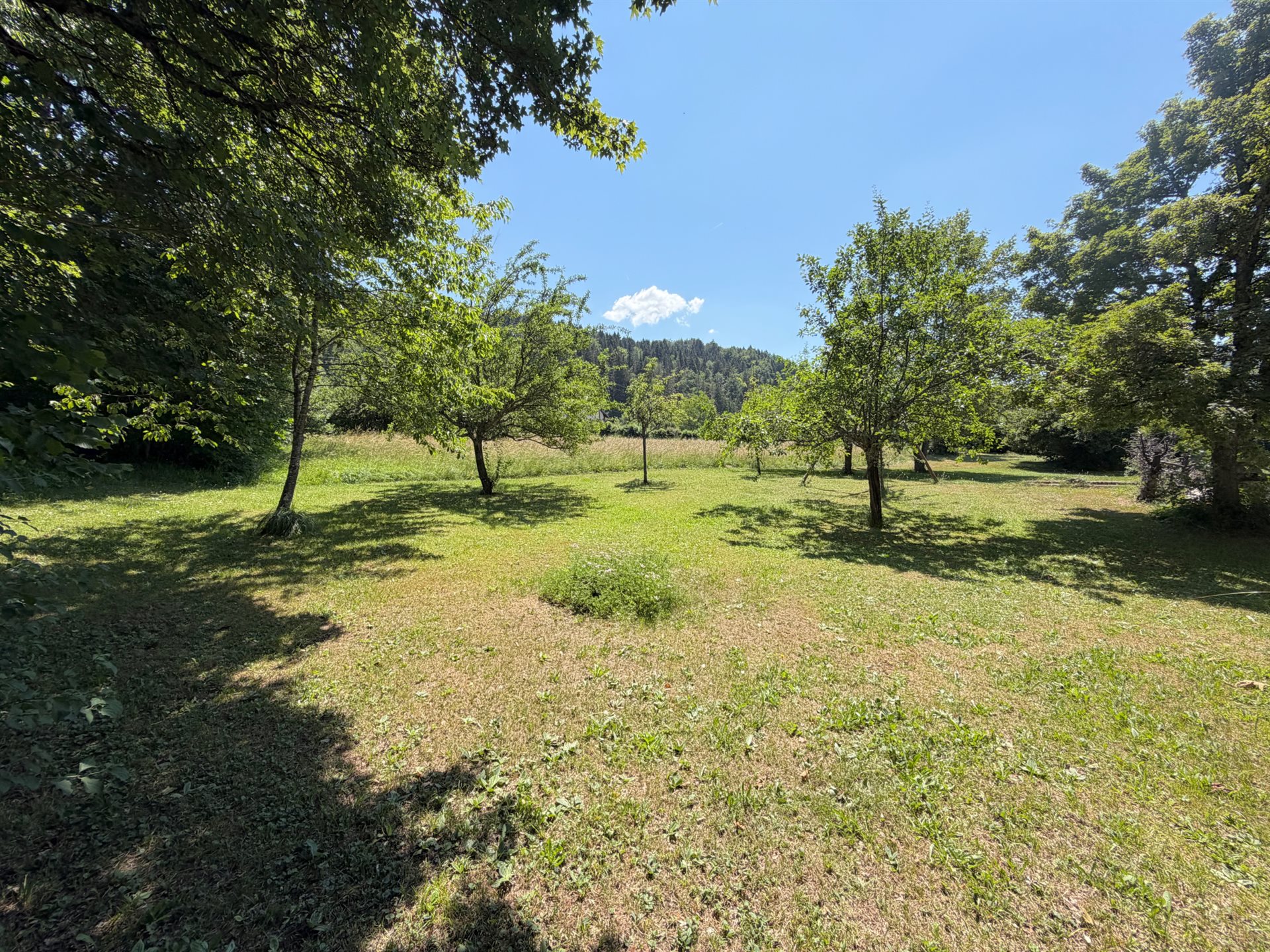 Maison à vendre, 276m², Entremont-le-Vieux