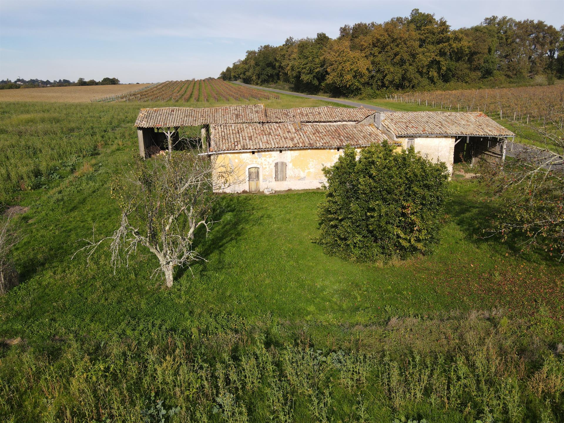Maison à vendre, 99m², Mirambeau