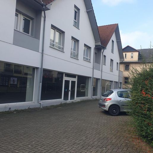 Local commercial 2631 m² · à Schiltigheim · 2 631 m² · 2 350 000 €