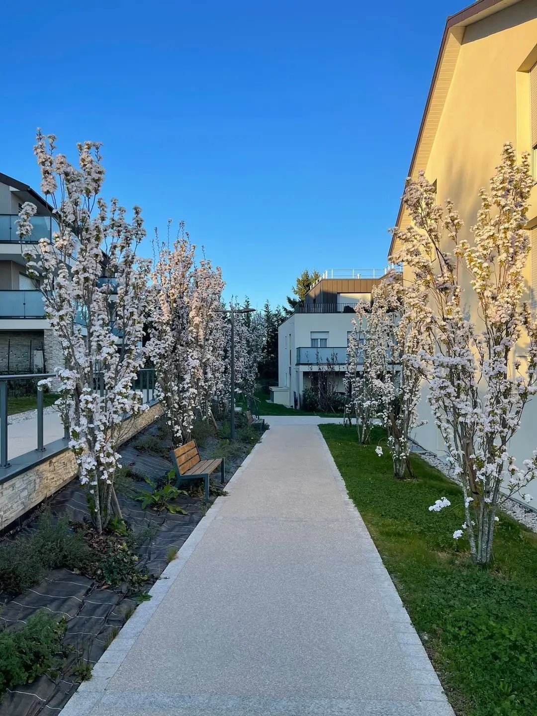 Appartement à louer, 66m², Ornex