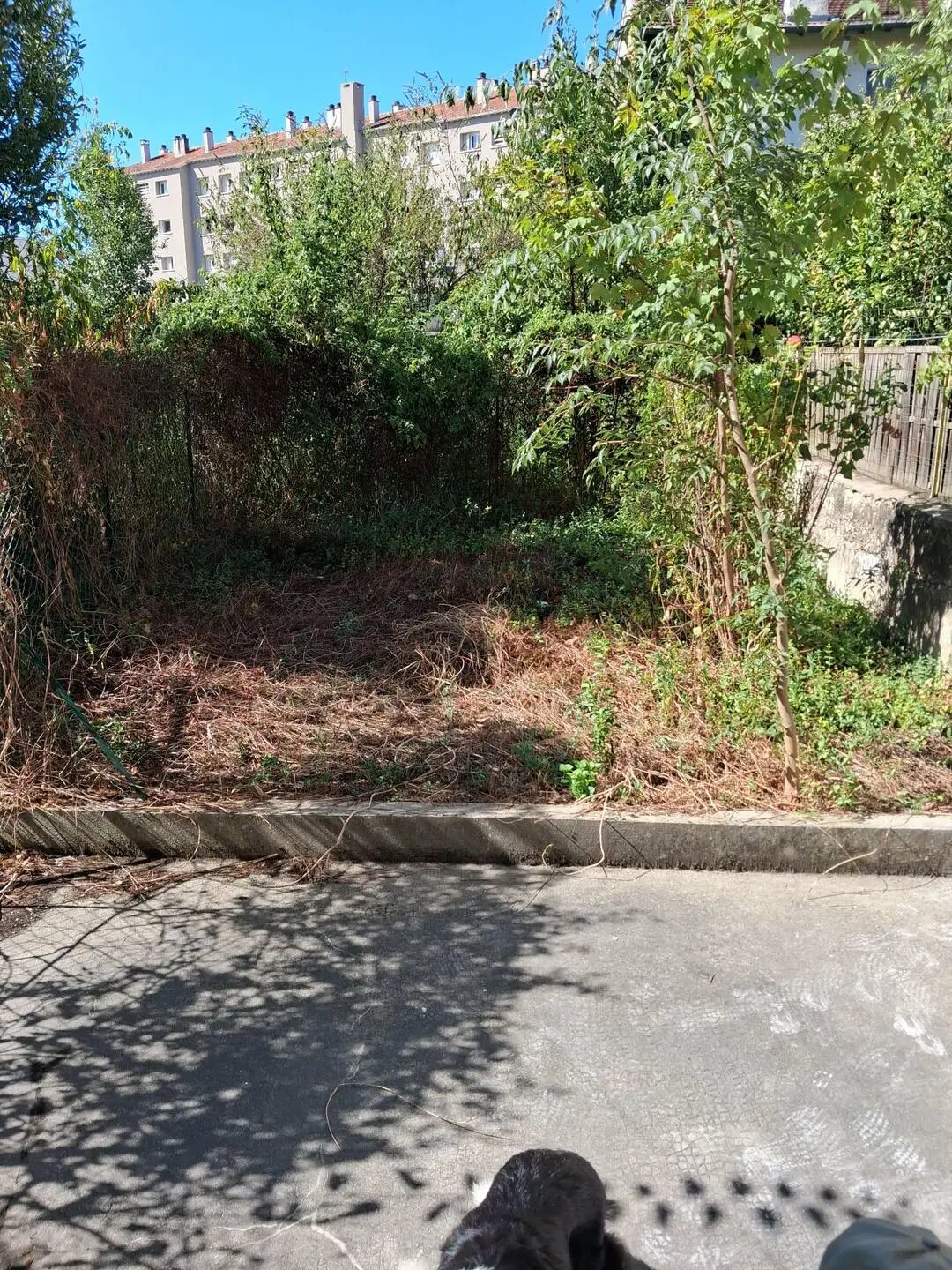 Appartement à vendre, 20m², Villeurbanne
