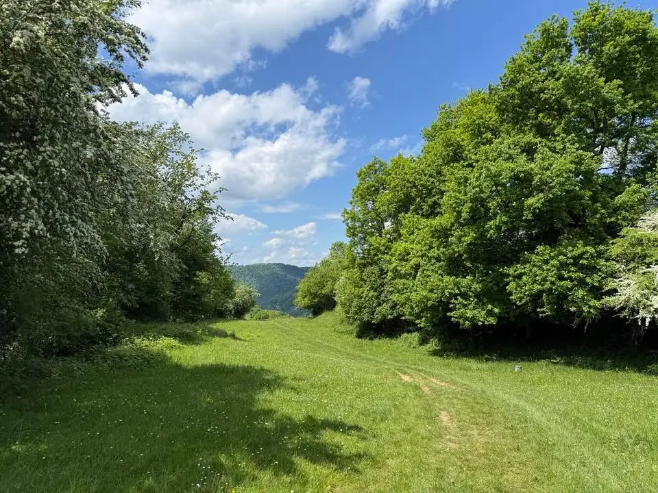 Maison à vendre, 126m², Monchy-le-Preux