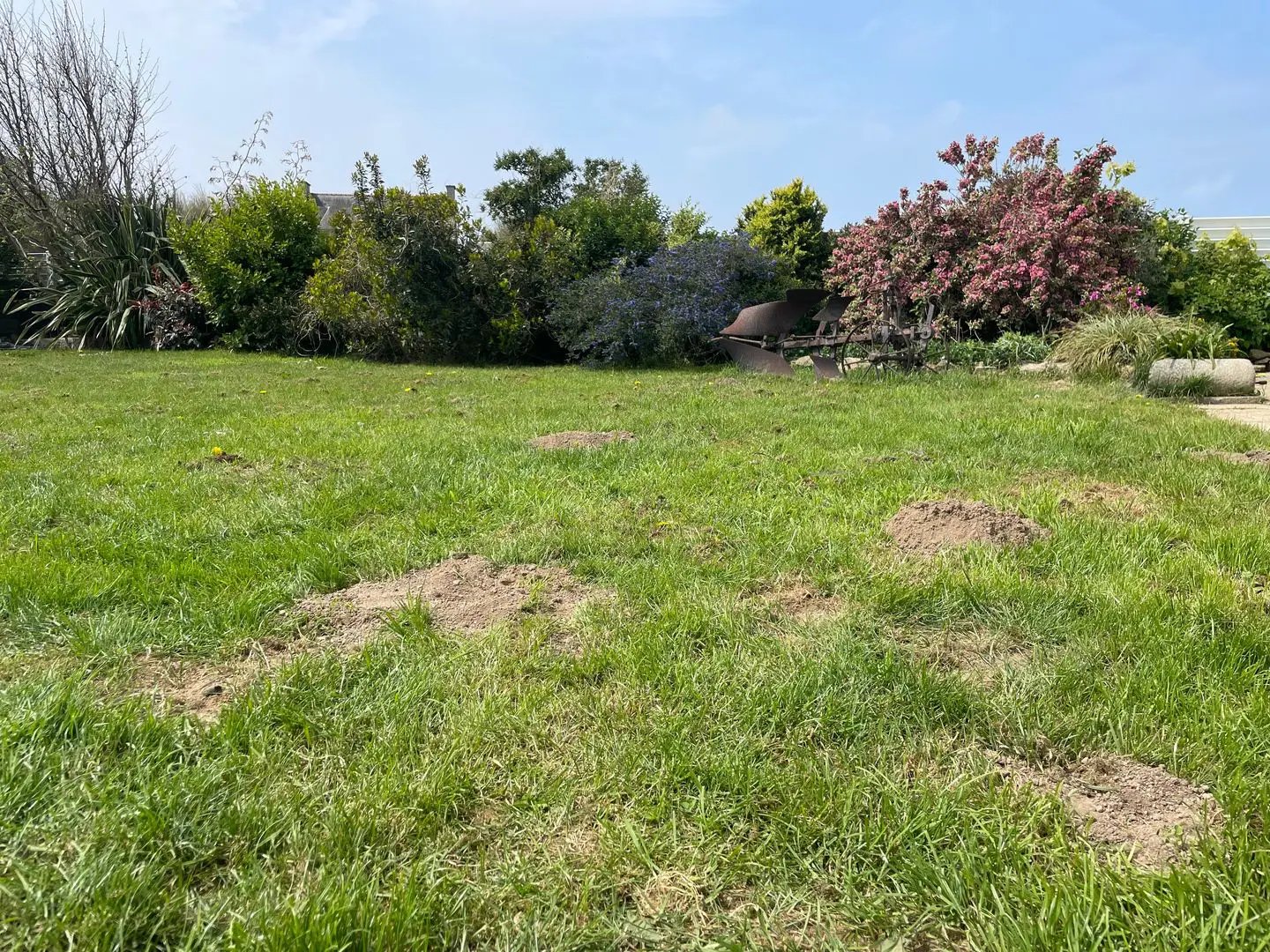 Maison à vendre, 180m², Roscoff