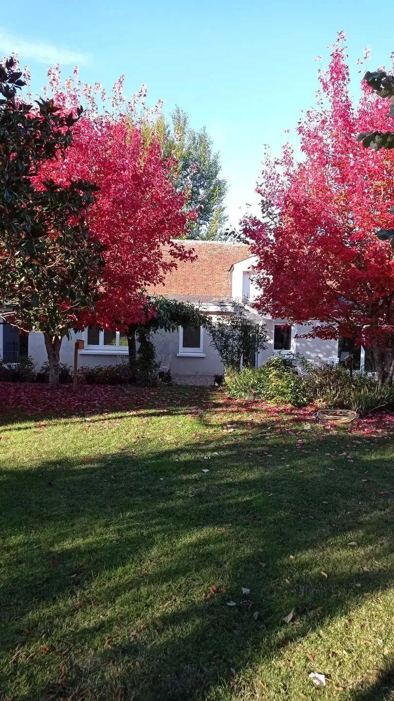 Maison à vendre, 160m², Ballan-Miré