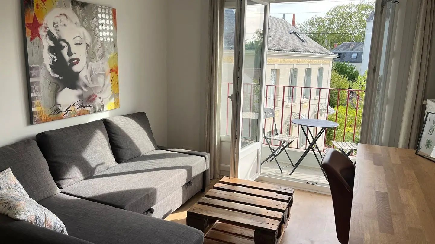 Appartement à louer, 49m², Tours