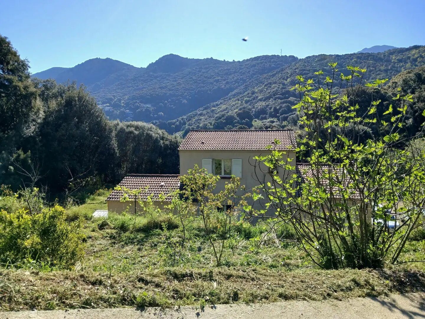 Maison à vendre, 130m², Eccica-Suarella