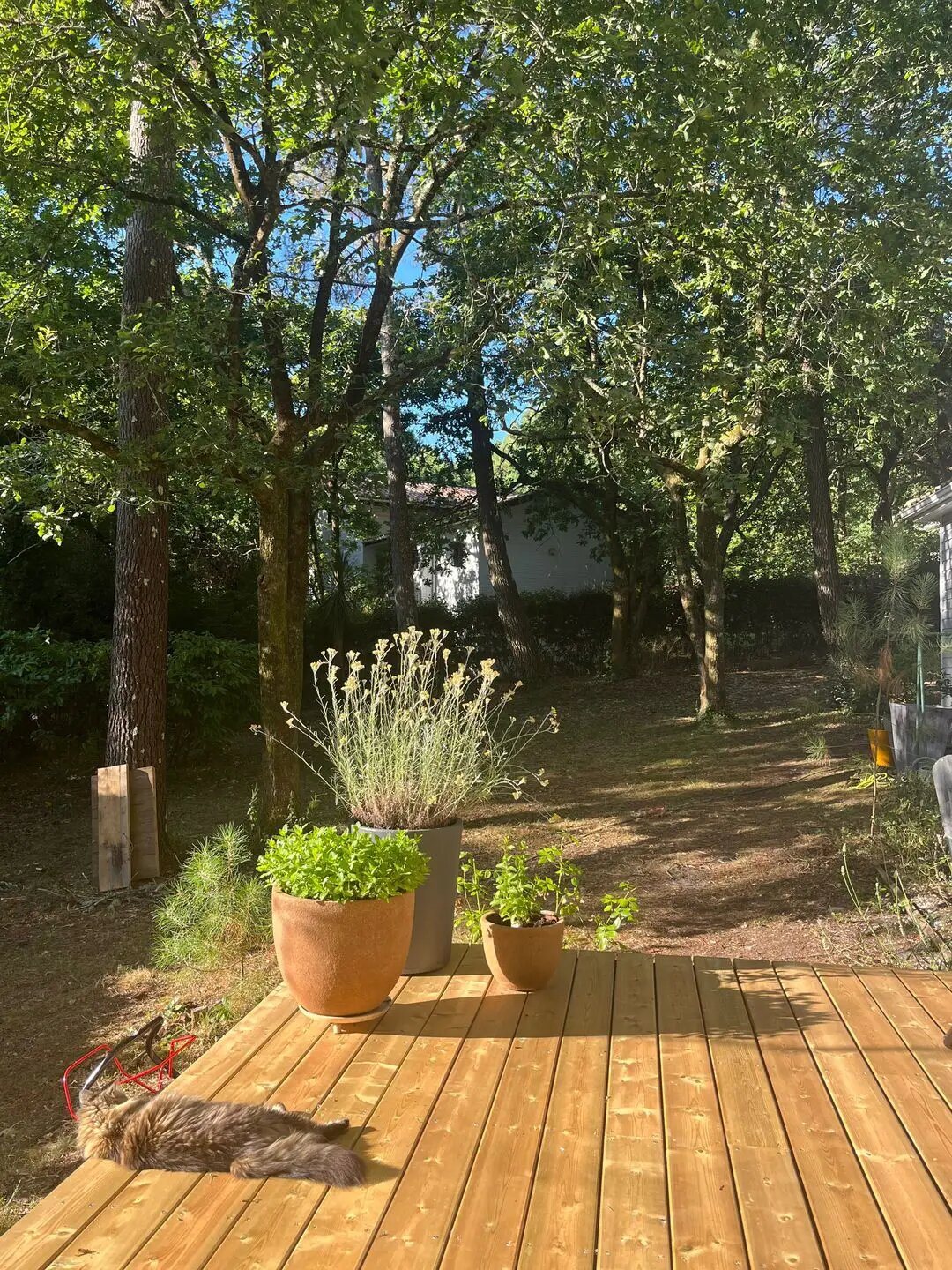 Maison à vendre, 89m², Biscarrosse