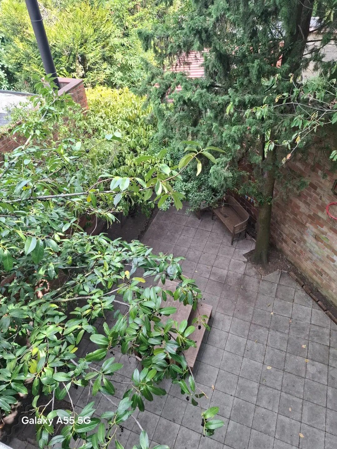 Maison à vendre, 164m², Saint-Germain-en-Laye