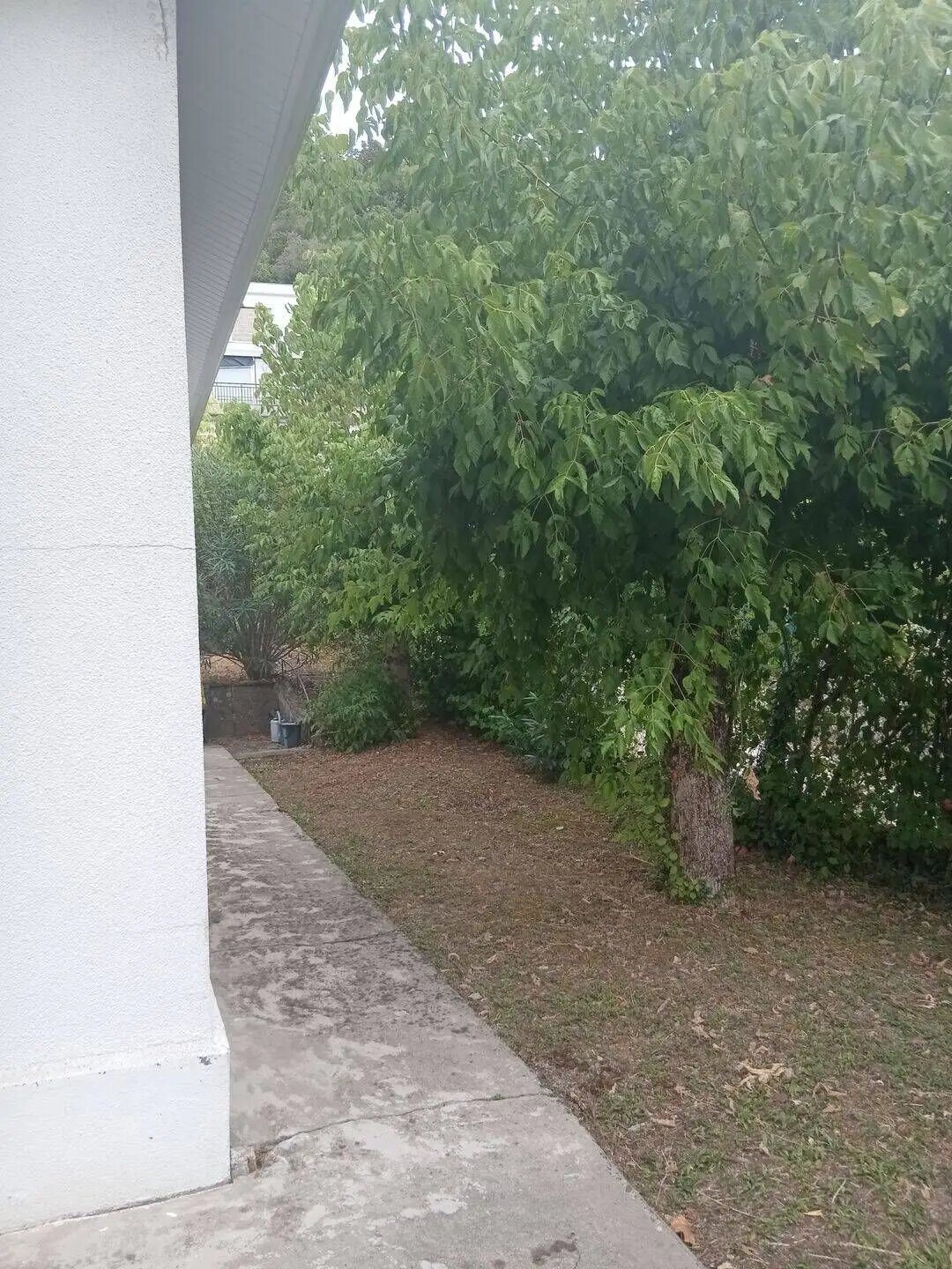 Maison à louer, 71m², Cenon