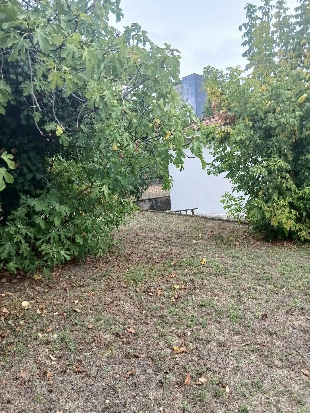 Maison à louer, 71m², Cenon
