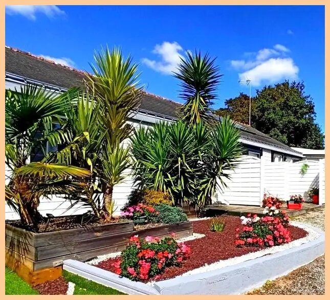 Appartement à louer, 24m², Saint-Nolff