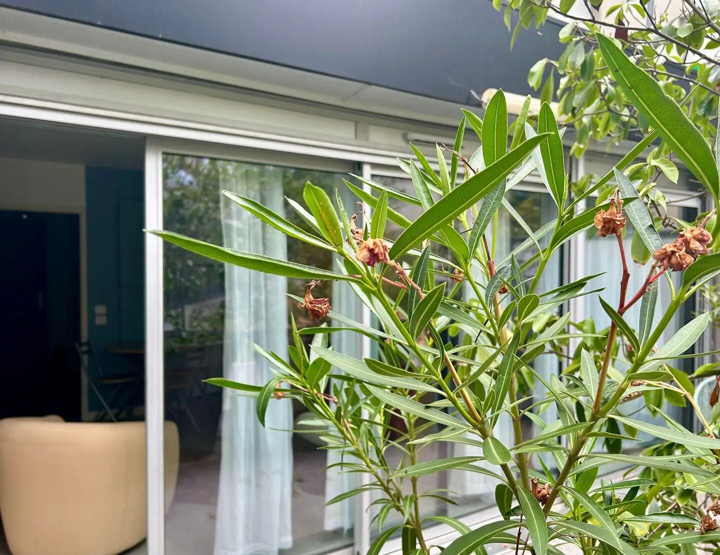 Appartement à vendre, 34m², Cenon