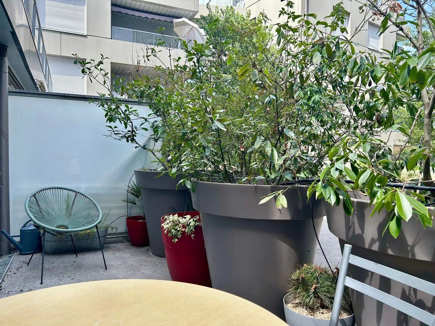 Appartement à vendre, 34m², Cenon