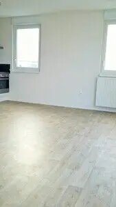 Appartement à louer, 59m², Lingolsheim