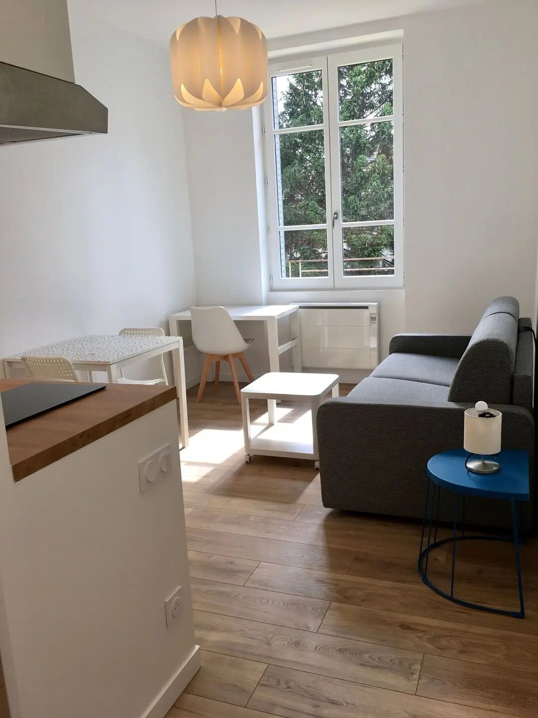 Appartement à louer, 21m², Villeurbanne