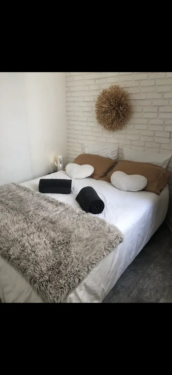 Appartement à louer, 27m², Vichy