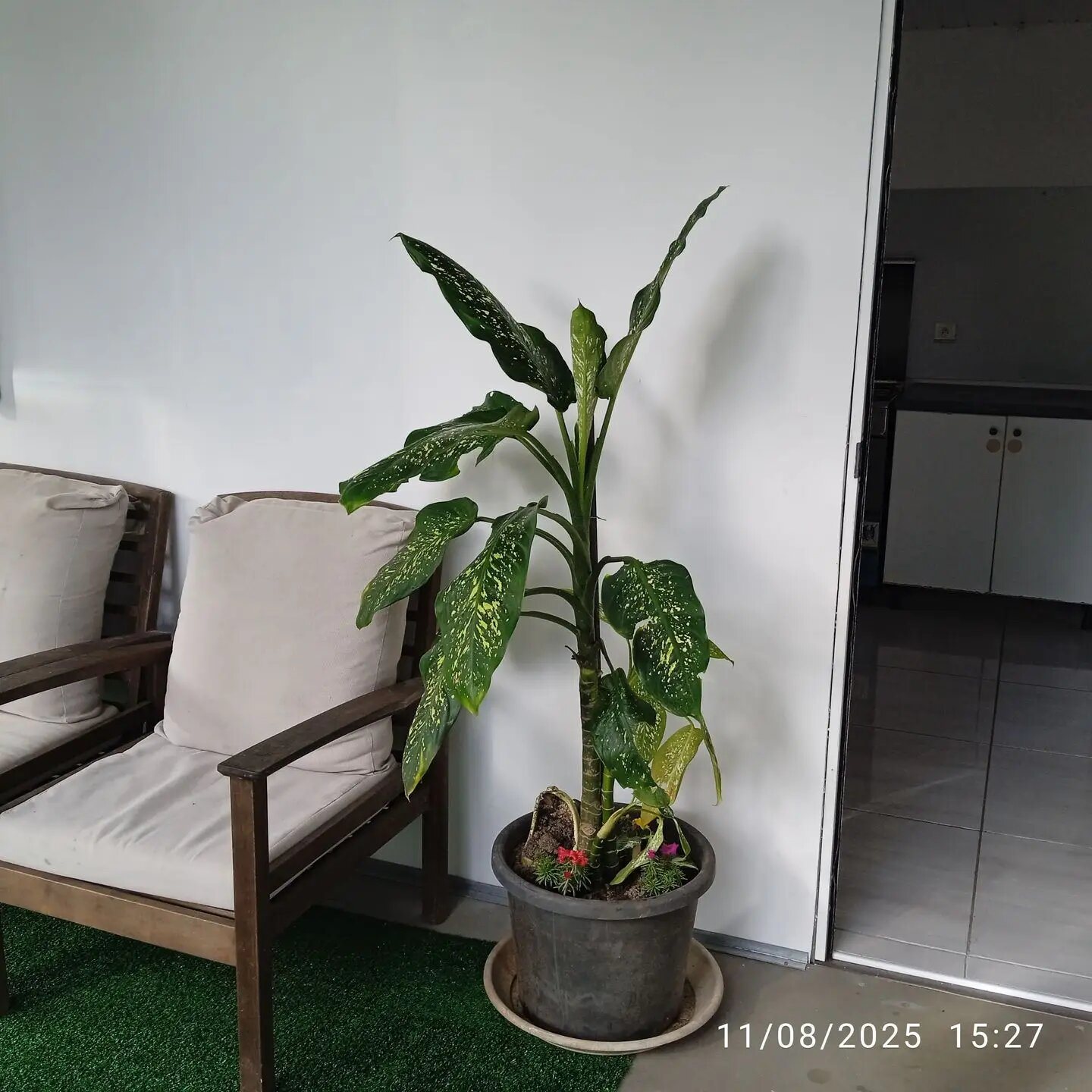 Maison à vendre, 112m², Nîmes