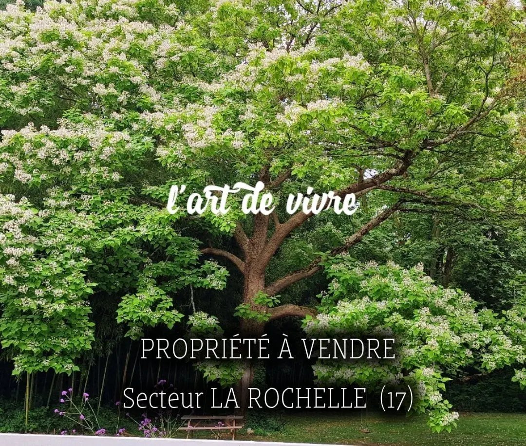 Maison à vendre, 307m², Saint-Médard-d'Aunis
