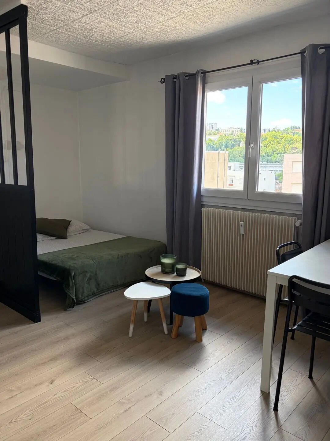 Appartement à louer, 29m², Saint-Etienne