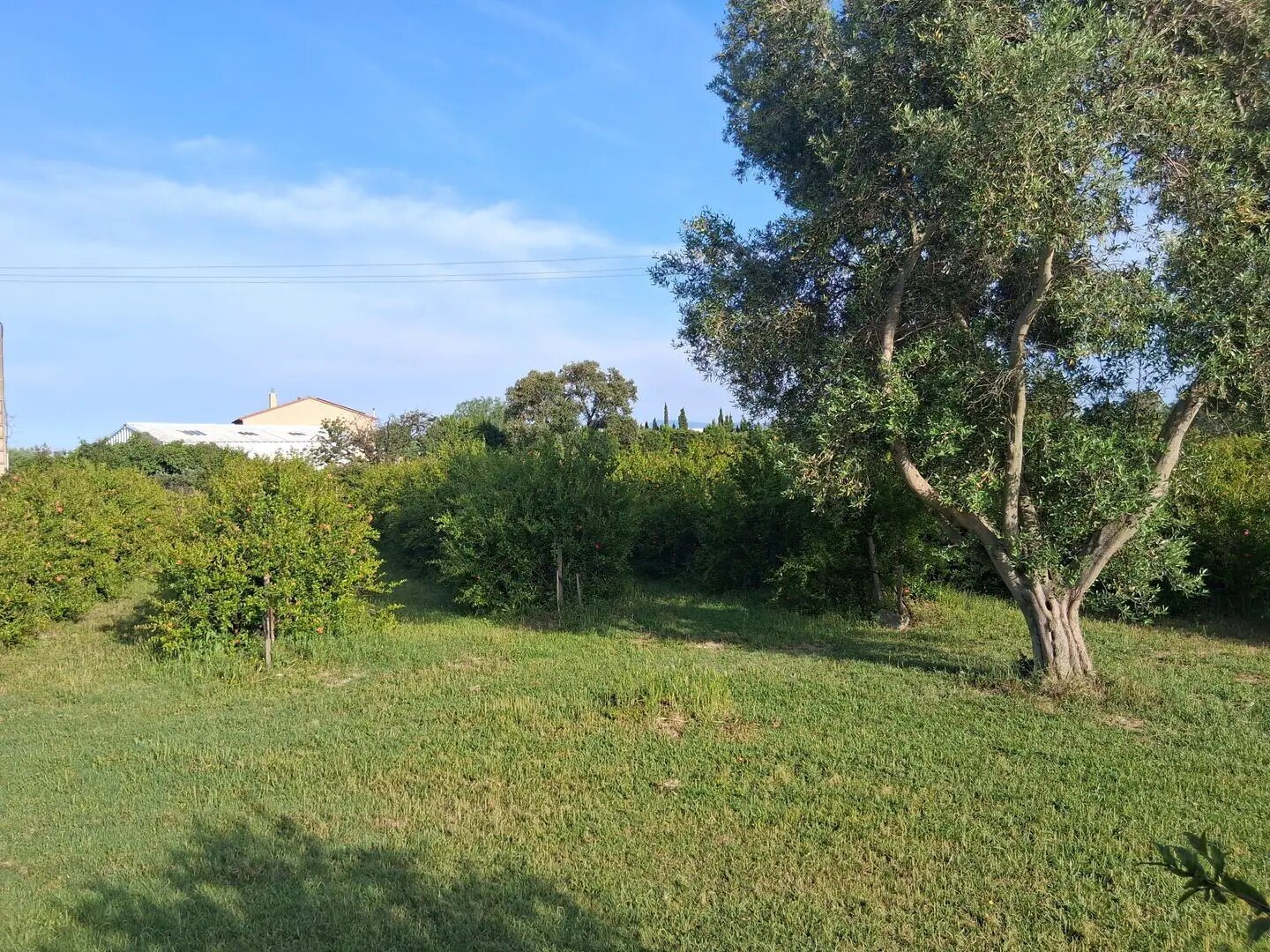 Maison à vendre, 230m², Thuir